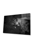 Aslan Cam Tablo 4mm Dayanıklı Temperli Cam thumbnail 1