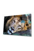 Aslan Cam Tablo 4mm Dayanıklı Temperli Cam thumbnail 1