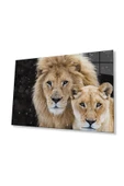 Aslan Cam Tablo 4mm Dayanıklı Temperli Cam thumbnail 1