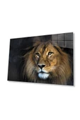 Aslan Cam Tablo 4mm Dayanıklı Temperli Cam thumbnail 1