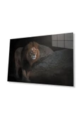 Aslan Cam Tablo 4mm Dayanıklı Temperli Cam thumbnail 1