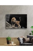 Aslan Cam Tablo 4mm Dayanıklı Temperli Cam thumbnail 2