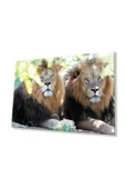 Aslan Cam Tablo 4mm Dayanıklı Temperli Cam thumbnail 1