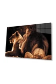 Aslan Cam Tablo 4mm Dayanıklı Temperli Cam thumbnail 1
