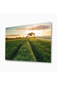 Doğa Cam Tablo 4mm Dayanıklı Temperli Cam thumbnail 1