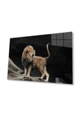 Aslan Cam Tablo 4mm Dayanıklı Temperli Cam thumbnail 1