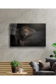 Aslan Cam Tablo 4mm Dayanıklı Temperli Cam thumbnail 2