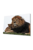 Aslan Cam Tablo 4mm Dayanıklı Temperli Cam thumbnail 1