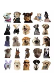 Sevimli Köpek Çıkartmaları Laptop Notebook Tablet Sticker Seti thumbnail 2