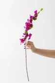 Yapay Begonvil Dalı 80 cm Mor thumbnail 1