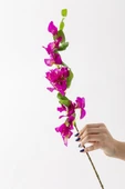 Yapay Begonvil Dalı 80 cm Mor thumbnail 3