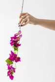 Yapay Begonvil Dalı 80 cm Mor thumbnail 4
