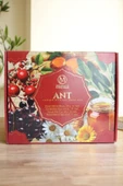 MİSWELL ANT SETİ thumbnail 4