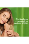 kcm1044335-1 thumbnail 6
