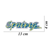 Renault Spring Folyo Sticker Yazı thumbnail 3