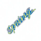 Renault Spring Folyo Sticker Yazı thumbnail 2