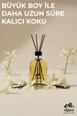 Vanilya Bambu Çubuklu Oda Kokusu 200 ML | XL Red Diffuser thumbnail 6