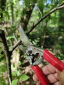 Işık Camping Budama Kamp Seti Çantalı thumbnail 3