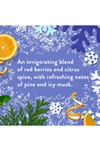 Native Alpine Air Duş Jeli 532ML thumbnail 3