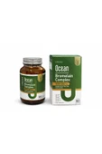OCEAN BROMELAIN COMPLEX 60 TB thumbnail 3