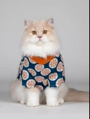 Navigator Kedi Yağmurluk Ceket thumbnail 6