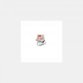 Honda Activa Piston Takımı 0.25 thumbnail 1