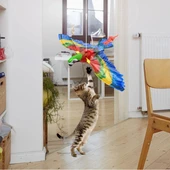 Uçan Papağan Kedi Oyuncağı thumbnail 1