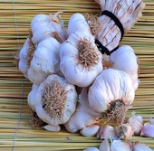 Sarımsak - 1 Kg thumbnail 1
