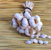 Sarımsak - 1 Kg thumbnail 3