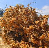 IHLAMUR (50 GR) thumbnail 2