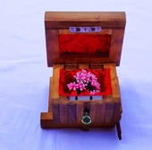 Sihirli Kutu - No 1 thumbnail 2