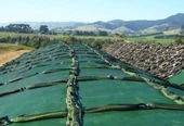 Silage Örtüsü Çiftrenk(Siyah-Yeşil) Uv'li thumbnail 1