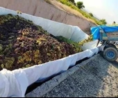 Sulama Havuz Branda 180GR thumbnail 3