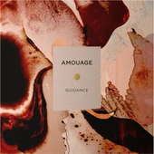 Guidance Edp 100 ml Parfüm thumbnail 2