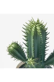 IKEA FEJKA yapay bitki, 6 cm thumbnail 3