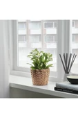 IKEA Saksı Bitki Saksısı thumbnail 4