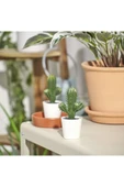 IKEA FEJKA yapay bitki, 6 cm thumbnail 2