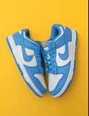 Nike Dunk Low Coast Blue DD1503-100 thumbnail 1