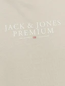 Jack Jones Bluar Chıe Erkek Tişört 12217167 thumbnail 6