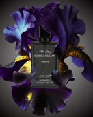 Mr. Okay Businessman Elegant 50 ML thumbnail 5