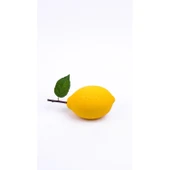 Silikon Limon Pasta Kalıbı thumbnail 1