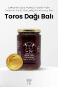 Toros Dağı Kestane Balı 860 gr thumbnail 2
