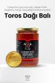 Toros Dağı Çakşır Balı 860 gr thumbnail 2
