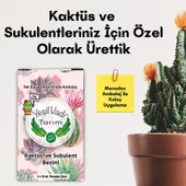 KAKTÜS SUKULENT BESİNİ MONODOZ 4X10ML thumbnail 1
