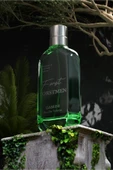 Gabrini Forstmen Green EDT 100 Ml thumbnail 4