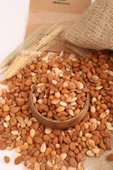 Kayısı Çekirdeği Acı 1 Kg thumbnail 1