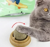 Kedi Otu Oyun Topu thumbnail 3
