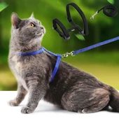 Kedi Tasması thumbnail 1