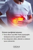 Milk Thistle 30 Tablet 300mg Silbin thumbnail 4