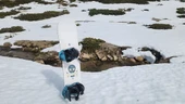 MAS SNOWBOARD PEACE KEEPER thumbnail 5